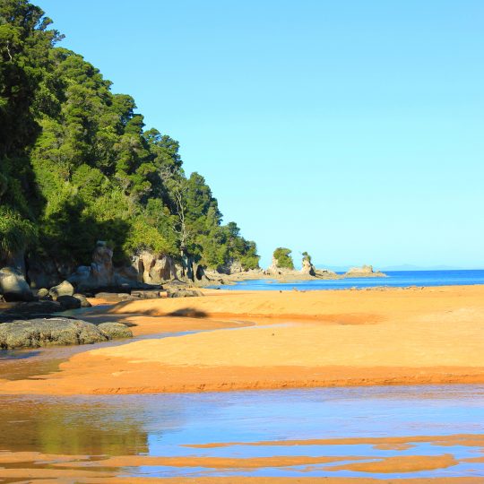Golden sands and clear waters of Totaranui Beach